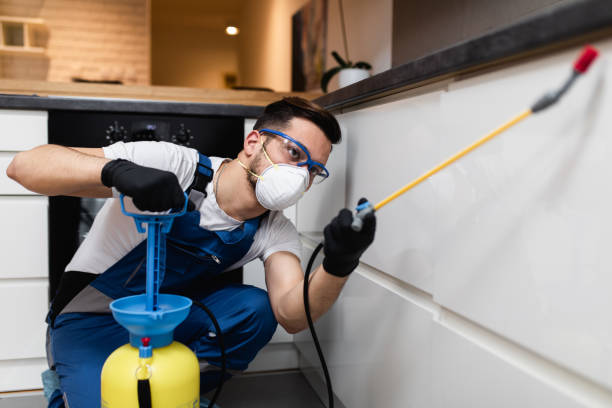 Best Pest Prevention Services  in Nicholls, GA