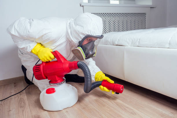 Best Pest Control Near Me  in Nicholls, GA