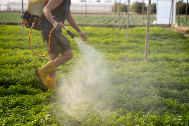 Best Best Pest Control Companies  in Nicholls, GA